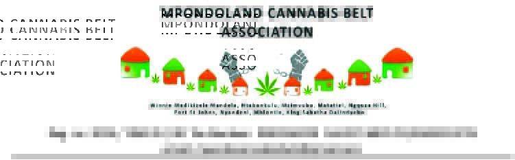 CANNABIS FARMERS REJECTS NEW SEED.