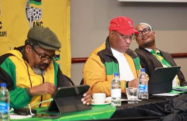 ANC Eastern Cape in Crisis After Conference Collapsed